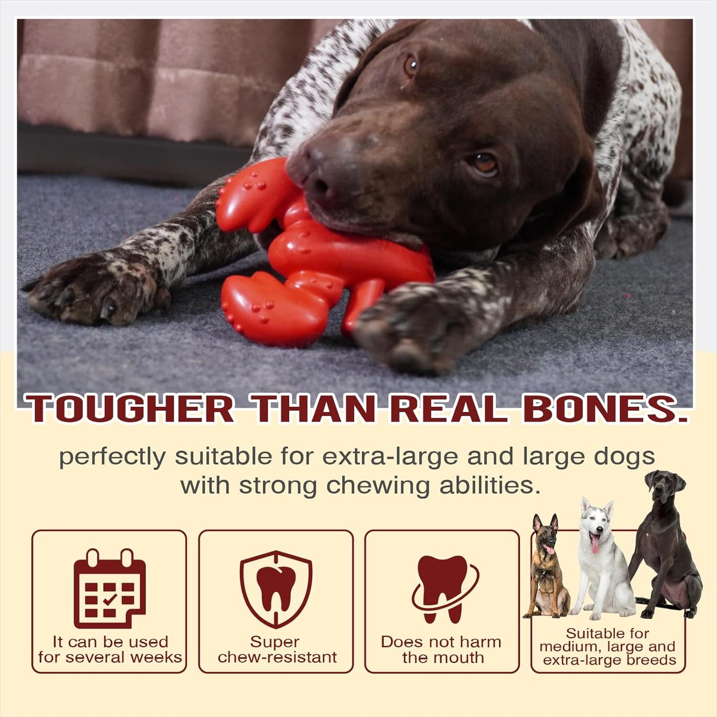Dog Chew Indestructible Sturdy Toy for Medium/Large Aggressive Chewers