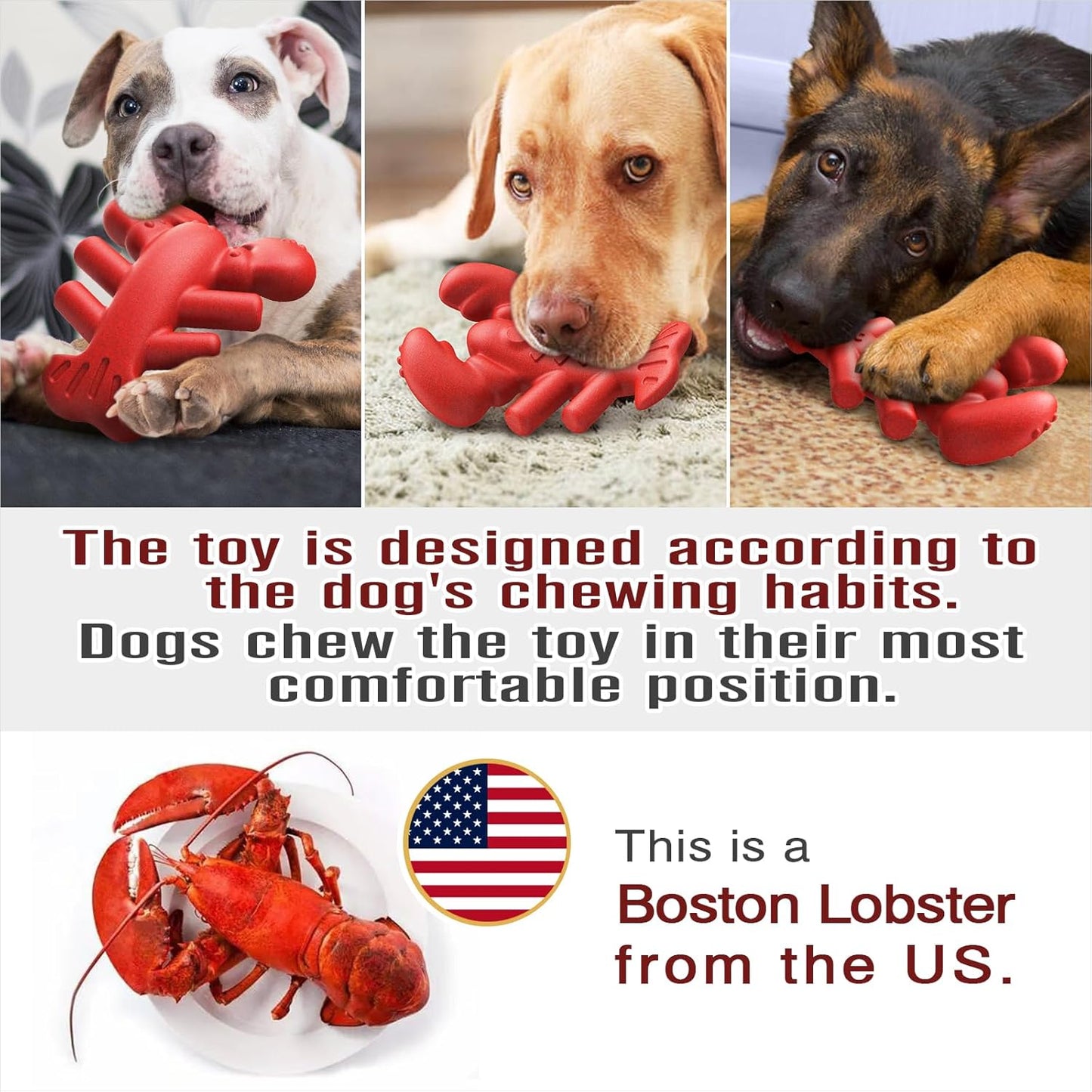 Dog Chew Indestructible Sturdy Toy for Medium/Large Aggressive Chewers
