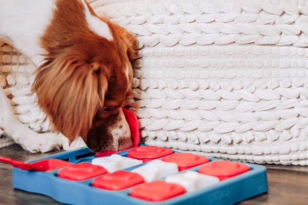 Dog Brick Treat Puzzle Enrichment Toy