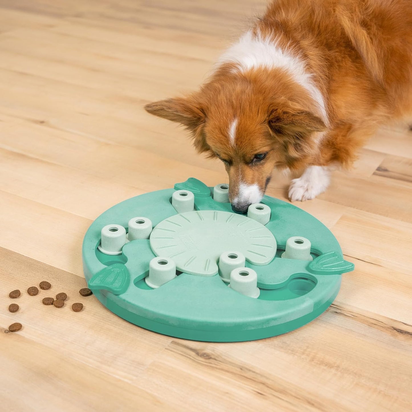 Outward Hound by Nina Ottosson Dog Worker Treat Puzzle Enrichment Toy